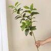 Fiori decorativi Foglie di simulazione Pianta che non sbiadisce con ramo lungo Imitazione di osmanto artificiale