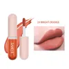 Brillant à lèvres Sexy Longue Durée Velours Mat Mini Nude Couleur Liquide Rouge À Lèvres Femmes Rouge Teinte Maquillage Cosmétique