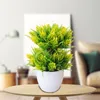 Decorative Flowers 1pc Simulation Potted Double-layer Pine Bud Green Plants Fake Bonsai Flower Shop Window Display Props Home Decoration