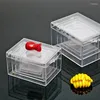 Storage Bottles Mini Jewelry Hair Accessories Box Beads Nail Sundries Transparent Plastic