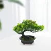 Flores decorativas Simulación Bienvenido Pino Faux Air Plants Emulado Bonsai Tree Decoración del hogar Material de maceta Imitación de plástico