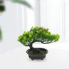 Dekorative Blumen, Simulation Willkommenskiefer, künstliche Luftpflanzen, emulierter Bonsai-Baum, Haushaltsdekoration, Topfmaterial, Kunststoffimitation