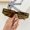 2023 Top Market Boutique Neuer Stil Kleines Gesicht Personalisiertes und einzigartiges PC-Material Hip-Hop-Rock-Punk-Stil Herren- und Damen-Sonnenbrille Strand-Outdoor-Life-Wear-Stil