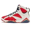 Jumpman 7 Men Basketball Shoes Chambray 7s White Infrared Flint Cardinal Citrus Afrobeats Pantone Bordeaux Patta Hare Sapphire Mens Sneakers Sneakers