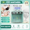 2023 HOT New Peeling Portable Micarodermabrasion Skin Rejuvenation H2O2 6 in1 Small Bubble Odermabrasion Beauty Cleansing Device Factory Direct Sales