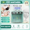 2023 HOT New Peeling Portable Micarodermabrasion Rajeunissement de la peau H2O2 6 in1 Petite bulle Odermabrasion Beauté Dispositif de nettoyage Ventes directes d'usine