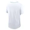 2023 F1 Baseball Jersey-skjortor Formel 1 T-shirt Skjorta Summer utomhus Sport Casual Shirts Beach Simple Breattable Men's Shirt Tops
