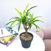 Dekorative Blumen Künstliche Orchidee Gras Topf Tropische Realistische Gefälschte Pflanzen Kunststoff Indoor Palme Bonsai El Büro Wohnkultur