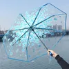 Transparent körsbärsblomning Automatisk paraply 3 -våt vindtät regnparaplyer kvinnor flickor rensar sakura vikbar paraply th0818