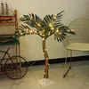 Outdoor simulation landscape coconut tree view hotel window modeling lights light tree lights