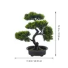 Fiori decorativi Scrivania in vaso artificiale Ornamento per alberi bonsai Piante piccole Scaffale Decor Falso