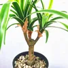 Dekorative Blumen Künstliche Orchidee Gras Topf Tropische Realistische Gefälschte Pflanzen Kunststoff Indoor Palme Bonsai El Büro Wohnkultur