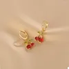 Boucles D'oreilles Pendantes Style Élégant Zircon Cerise Boucle D'oreille Tempérament Léger De Luxe Pour Les Femmes