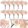 Decorative Flowers 10 Pcs Architectural Tree Model False Plants Terrarium Glass Containers Branch Cherry Blossom Ornaments Abs Simulated Man