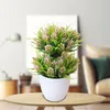 Decorative Flowers 1pc Simulation Potted Double-layer Pine Bud Green Plants Fake Bonsai Flower Shop Window Display Props Home Decoration