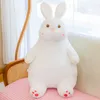 60/80/100cm büyük beyaz tavşan peluş yastık oyuncakları kawaii tavşan büyük boyutlu doldurulmuş hayvan yumuşak bebek yastık çocuklar doğum günü Noel hediyesi kız arkadaşı için 2148