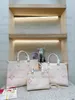 Gradient Blue ONTHEGO PM MM GM Tote Bag Degrade Neutral On The Go Mini Womens Luxurys Bandolera Beige Rose Pink Diseñador Bolso Monedero de gran capacidad