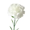 Dekorativa blommor Bröllopsdekoration Silkduk Simulering Blomma nejration Hemma Party Mors dag Giftgren Fake Plant