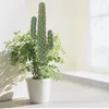 Decorative Flowers Cactus Model Simulated Adornments Faux Plants For Indoors Landscape Lifelike Figurine