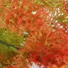 Декоративные цветы искусственные листья пластиковые морские водоросли имитируют растительный домашний дом сад (оранжевые морские водоросли)
