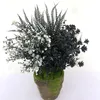 Flores Decorativas Halloween Preto Planta Artificial Videira Eucalipto Samambaia Persa Folha Plástico Flor Falsa Grama Festa em Casa Decoração de Jardim Po