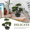 Fleurs décoratives artificielles en pot bureau bonsaï arbre ornement petites plantes étagère décor faux