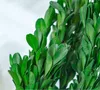 Decorative Flowers Artificial Plants Everlasting Boxwood Headdress DIY Leaves Wedding Party Decoration Home Decorations