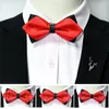 Bow Ties Men's Formal Wear Professional Business Festive Red Bridegroom Wedding Polyester Silk Plain Spot Pointed Double Layer Tie