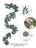 الزهور الزخرفية زخرفة الأوكالبتوس إكليل مع Willow Vines Green Plants إكليل من أجل منزل الحفلات المركزية