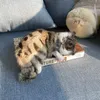 Simulazione di peluche di peluche imbottita Modella gatto Modella pelliccia di pelliccia bambola con lampeggiatura con lampeggiatura di gatti anime animali da peluche per bambini giocattoli gattini decorazioni per la casa 230621