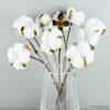 Dried Flowers 10pc Natural Cotton Gypsophila White Home Decorative Real Flower Branch Bridesmaid Bouquet Decor Fake