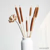 Torkade blommor 10st/40 cm naturliga Typha angustifoliall Eternell Display Flower Diy Home Wedding Arrangement Decoration Photo Props