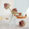 Gedroogde bloemen natuurlijke bloem luxe Afrika Protea Cynaroides tafel bruiloft decoratie boerderij huis Indie kamer decor cadeau