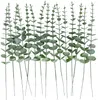 装飾的な花ホンベモ15pcs人工ユーカリの茎装飾偽の乾燥葉本物のための緑の葉の枝の枝