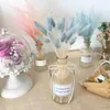 Fiori secchi naturale coniglietto erba piuma conservata festa matrimonio matrimonio fiore casa decorazione accessori