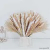 Gedroogde bloemen grasdecoratie natuurlijke phragmites bos communis en chique bruiloft middelpunt decoratief