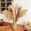 Dried Flowers Grass Decor Small for Home Wedding Arrangements Natural Pompous Room Decorat