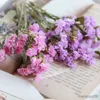 Gedroogde bloemen Vergeet-mij-nietje Miniboeket voor kunst en hars Kleine ambachten Thuis Kamerdecoratie DIY Kaarsen Materiaal