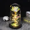 Fleurs décoratives Rose artificielle dans le dôme en verre de LED cadeau pour toujours à la décoration de mariage de jour de Valentines de petite amie