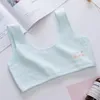 CAMISOLELE TOBLES BIELNE KOBIETA STUDENTA GRUNKA PURE BAWIEŃ JUNIOR DOUBLE WARTORY Anti-Bump Development Little Mały Tank Top Bra