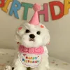 Abbigliamento per cani Cani da compagnia Cappellini e sciarpa per la festa di compleanno Vestire Cappello carino Bavaglino Gatto Saliva Asciugamano Divertente Pografia Puntelli Decorazione regalo