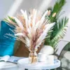 Fiori secchi 30 pz 35-40 cm Bianco Matrimonio Uso Erba Mazzo Piante naturali Decorazioni natalizie Bouquet di fiori Decorazione della stanza di casa