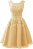 Scoops Short Homecoming Dresses Junior Party Gowns Fashion Applique Tulle Birthday Graduation Cocktail Prom Party Gown