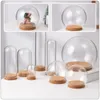 Decorative Flowers 5 Pcs Clear Vase Delicate Glass Cover Protector Ornament Dustproof Small Exquisite Adornment Dome Immortal Child