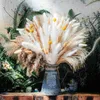 Kurutulmuş Çiçekler 98pcs Çim Mix Buket Ev Dekoru Doğal Düğün Noel Flores Secas Decorativas