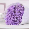 Dekoratif Çiçekler 100Gbabysbreath Drited Valentines Günü Kız Arkadaş Düğün Dekorasyon Masası ve Oda Gelin Buket Pampas