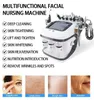 Nieuwe aankomst 10 In 1 zuurstof en waterstof multifunctionele schoonheidsmachine huid Verjonging RF Small Bubble Facial Beauty Instrument