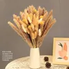 Dried Flowers Natural Grass Bouquet Decor Long-Lasting for Home and Wedding Arrangement Decoratio