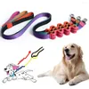 Hundhalsar Pet Harness Treet For Valp Lead Elastic Buffer Rope för att förhindra upplopp utomhus Safe Walking Supplies med grepphandtag