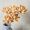 Torkade blommor 5st Natural Lotus Home Decorating Wedding Decoration Table Party Decorative Dry Flower Branch Flores Preservadas